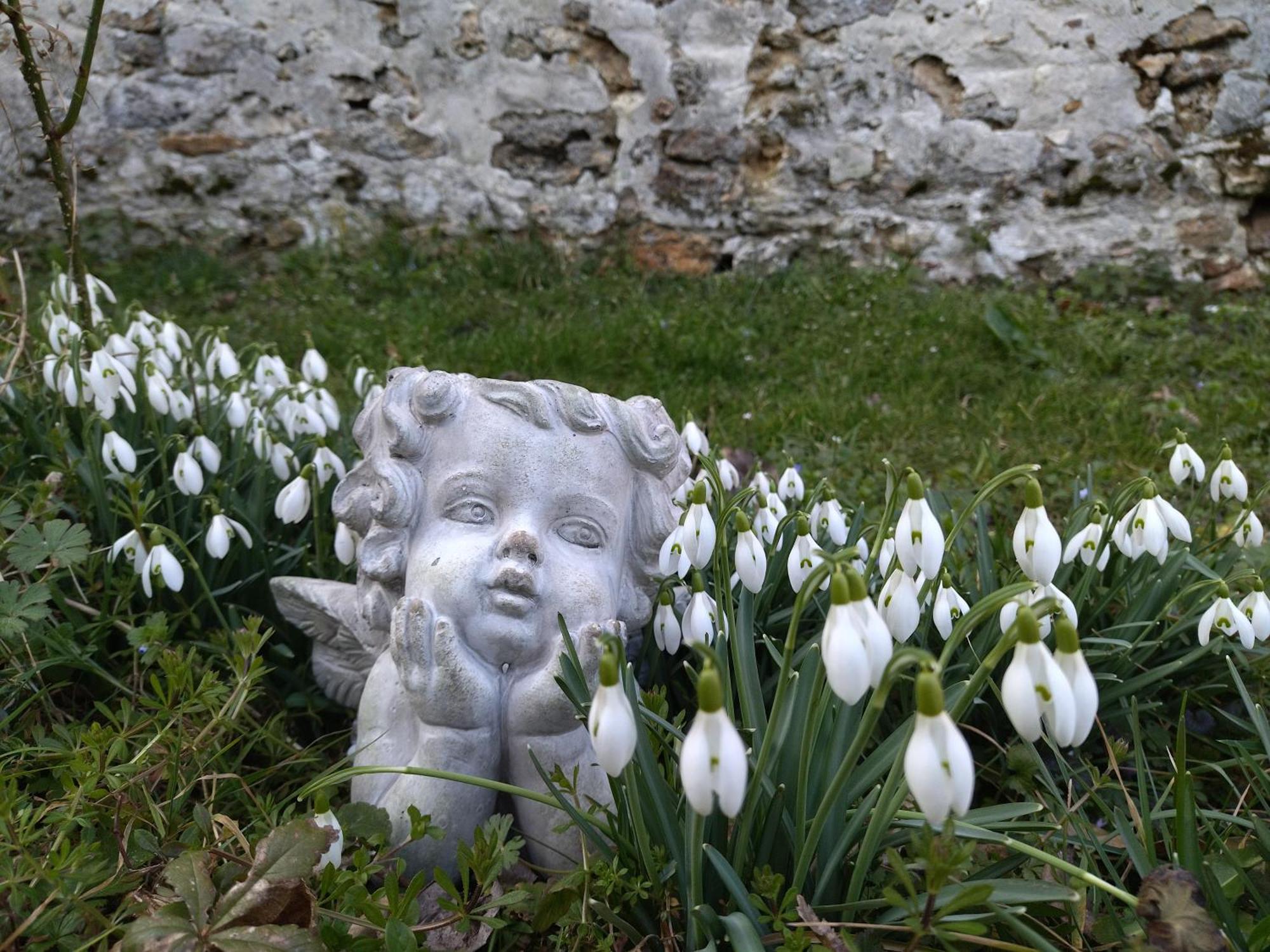 Gite De La Pierre Bleue, Maison A La Campagne Verdon  Buitenkant foto